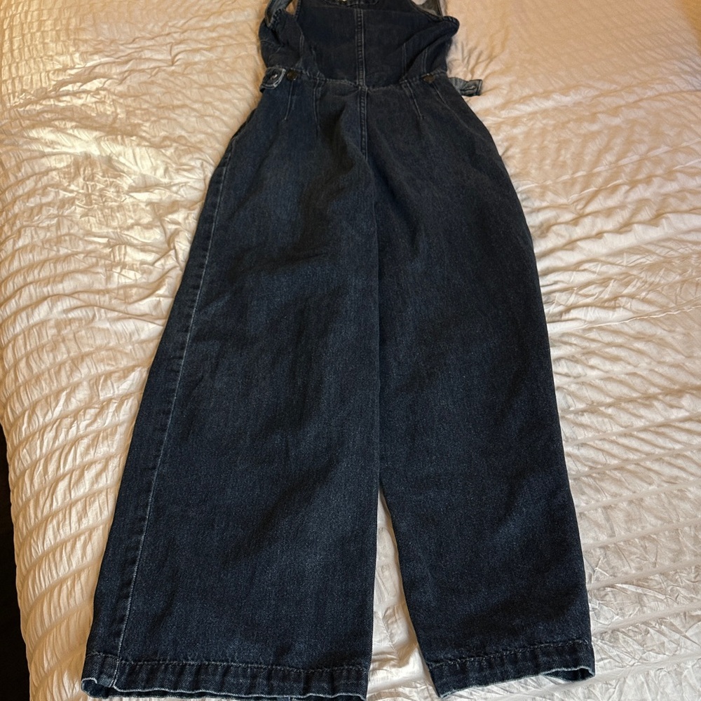 We The Free Indigo Denim Overalls